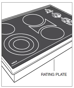 Electric Hob Repair